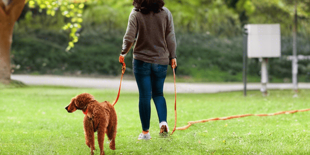 Practice Good Leash Etiquette