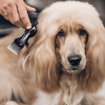why Your Dogs Hair Falls Out