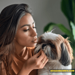 Why Your Shih Tzu Smells So Bad Shih Tzu Smell problems