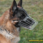 Do German Shepherds bite