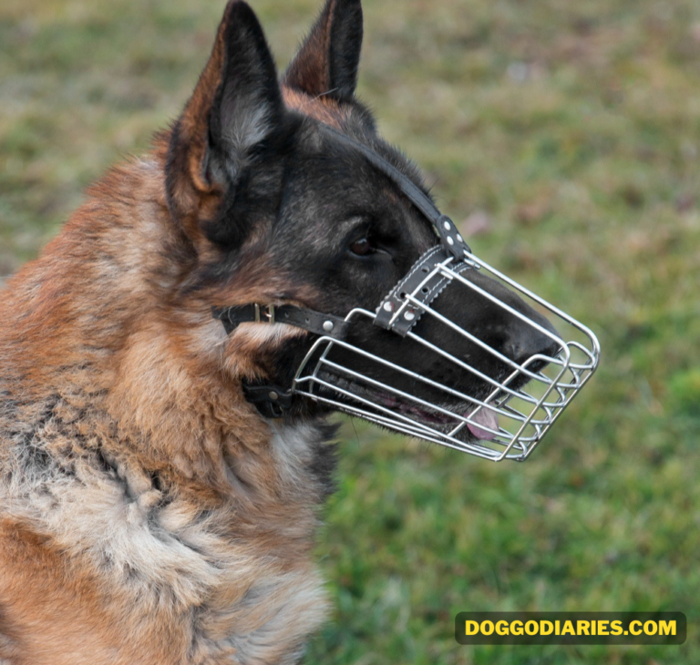 Do German Shepherds bite Aggression in Dogs